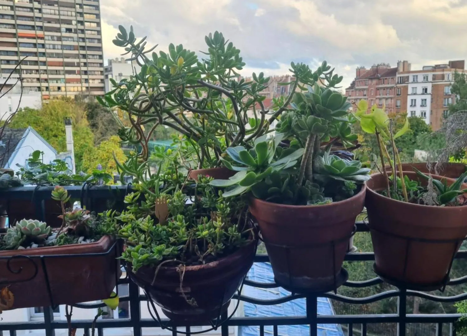Le Nid D'Aigle Apartment Paris