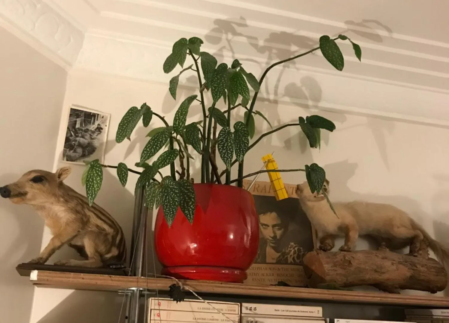 Le Nid D'Aigle Apartment Paris